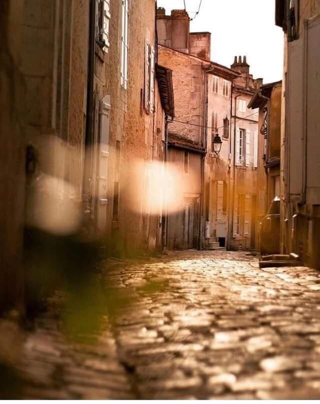 Le Saint Jacques #Centre Ville Cognac Dış mekan fotoğraf